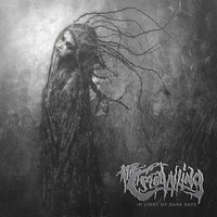 The Right to Crawl - The Crawling