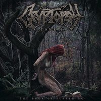 The Knife, The Head and What Remains - Cryptopsy