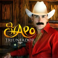 Te Amo - El Chapo De Sinaloa
