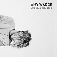 Walking Disaster - Amy Wadge
