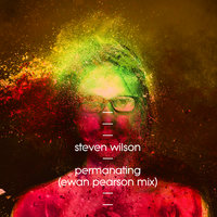 Permanating - Steven Wilson, Ewan Pearson