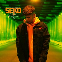 Money - Seko
