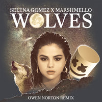 Wolves - Selena Gomez, Marshmello, Owen Norton