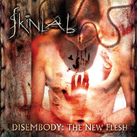 No Sympathy (for The Devil) - Skinlab