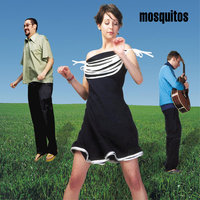 Mosquito - Mosquitos