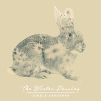 Paper Rabbit - The Winter Passing