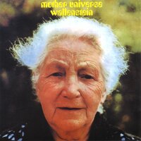 Mother Universe - Wallenstein