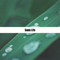 Same Life - Midsplit