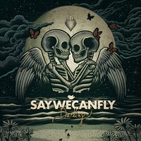 Driftwood Heart - SayWeCanFly
