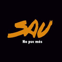 No Puc Més - Sau
