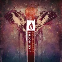 The Give And Take - Like Moths To Flames
