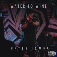Water to Wine - Peter James