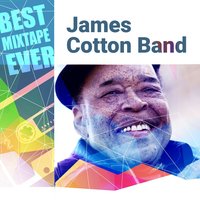 Don't Start Me Talking - James Cotton Band