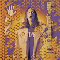 Bumblebee - Paul Gilbert