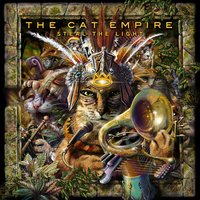 Open up Your Face - The Cat Empire