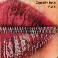 Midnight Cruiser - Capability Brown