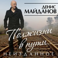 Полжизни в пути - Денис Майданов