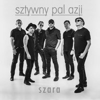 Pocałunek w Rzymie - Sztywny Pal Azji