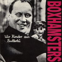 In Dieser Zeit - Boxhamsters