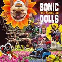 In Case You're Unaware - Sonic Dolls