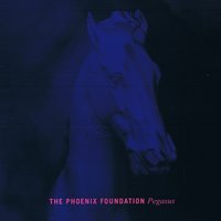 The Phoenix Foundation