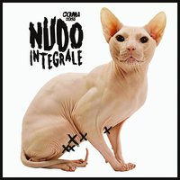 Nudo Integrale - Coma_Cose