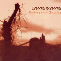 All I Have Is A Song - Lynyrd Skynyrd