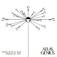 Molecules - Atlas Genius, Penguin Prison