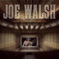 Ashes, The Rain and I - Joe Walsh