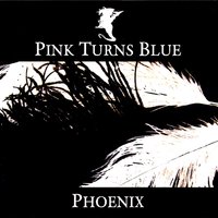 Now's The Time - Pink Turns Blue