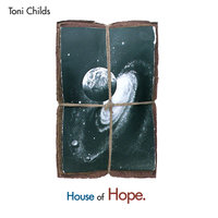 I Want To Walk With You - Toni Childs