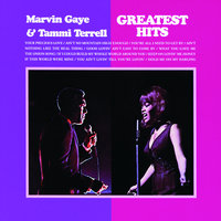 Hold Me Oh My Darling - Marvin Gaye, Tammi Terrell