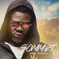 Sommet - Ariel Sheney