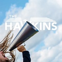 The Astronomical Fool - The Hawkins