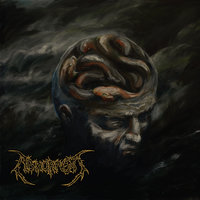 The Elegance Of Asymmetry - Abhorrent