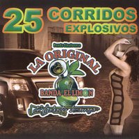 El Corrido Del Sinaloense - La Original Banda El Limón de Salvador Lizárraga