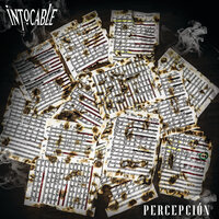 Nunca Volverás - Intocable