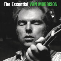 Warm Love - Van Morrison