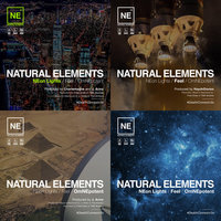 Neon Lights - Natural Elements