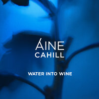 Water Into Wine - Aine