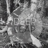 Here - Deer Leap