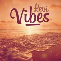 Vibes - Levi