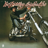 Hit Or Miss - Bo Diddley