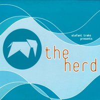 Scallops - The Herd