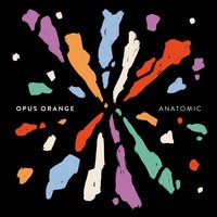 Porcelain - Opus Orange