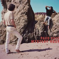 The Other Half - Pavo Pavo