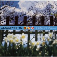a different lifetime - Spearmint