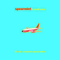 you carry this with you - Spearmint