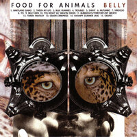 Shhhy - Food For Animals