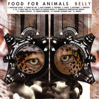 Tween Fantasy - Food For Animals